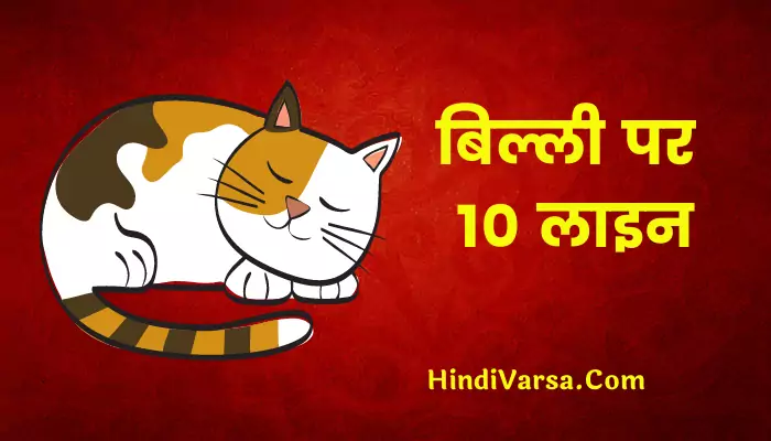 10 Lines On Cat In Hindi