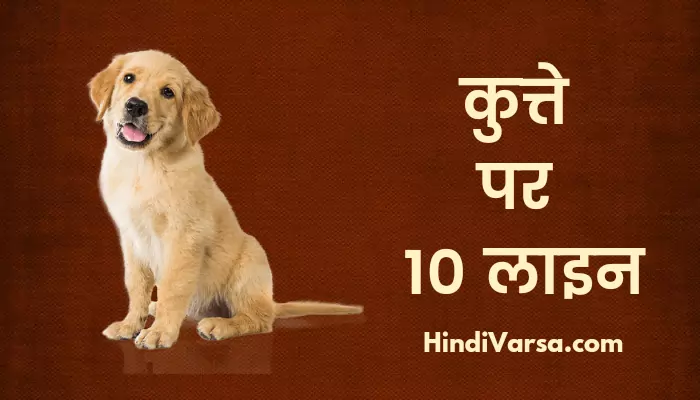 10 Lines On Dog In Hindi