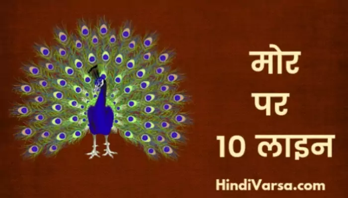 10 Lines On Peacock In Hindi
