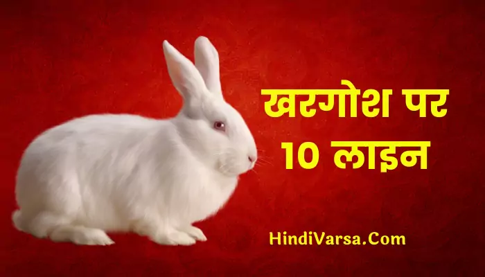 10 Lines On Rabbit In Hindi
