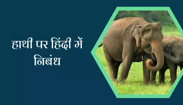 Best Essay On Elephant In Hindi