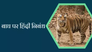 Best Essay On Tiger In Hindi