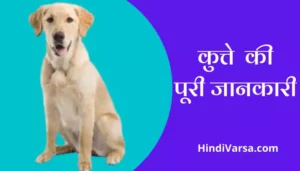 Dog Information In Hindi