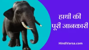 Elephant Information In Hindi