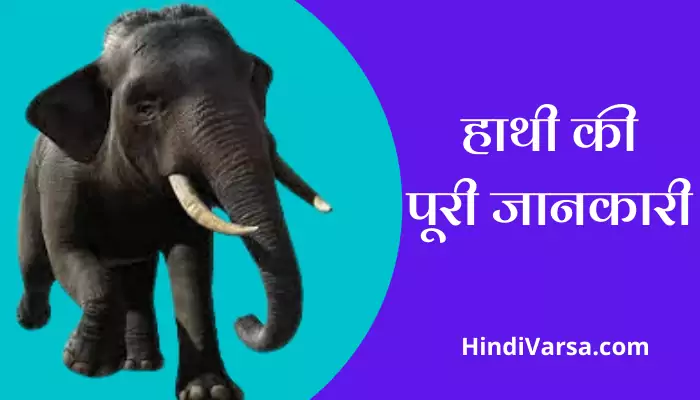 Elephant Information In Hindi