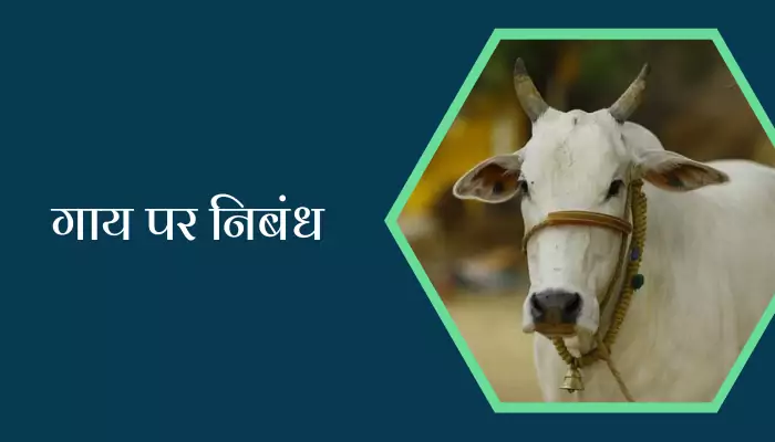 Essay On Cow