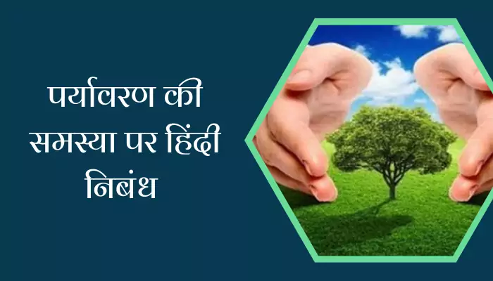 Essay On Environmental Issues In Hindi