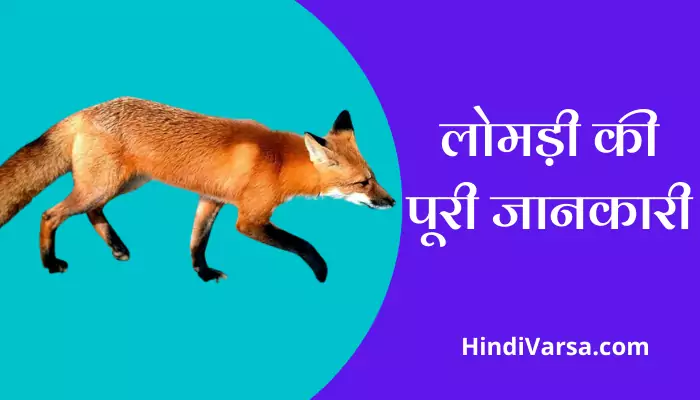 Fox Information In Hindi