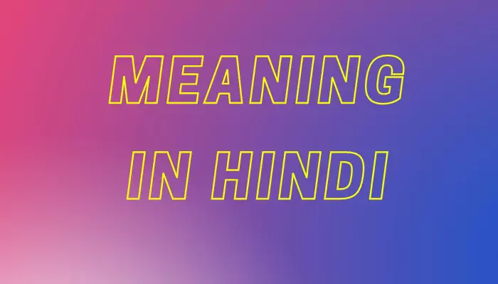 Meaning In Hindi