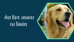 My Favourite Animal Essay In Hindi