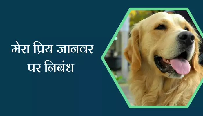 My Favourite Animal Essay In Hindi