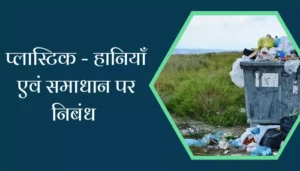 Plastic Losses Solutions Essay In Hindi