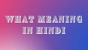 What Meaning In Hindi