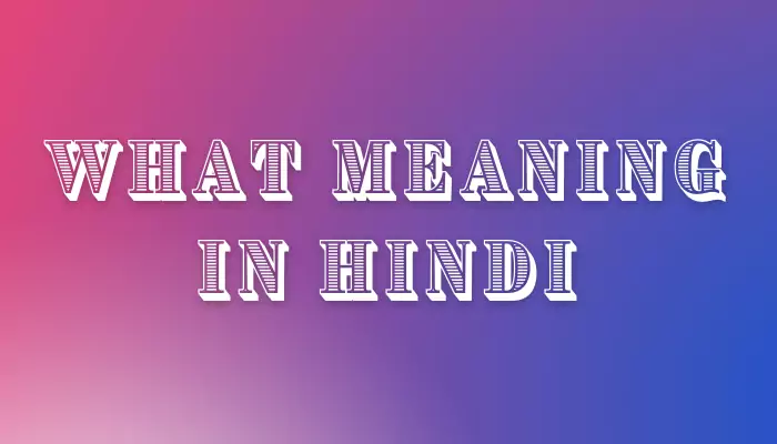 What Meaning In Hindi