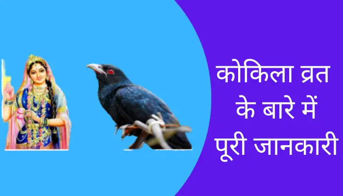 Kokila Vrat Information In Hindi