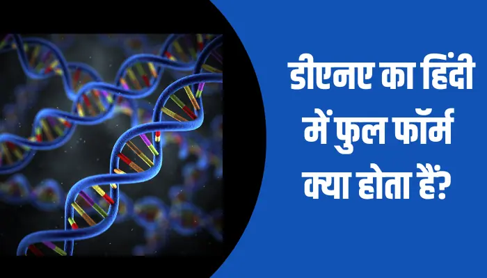 DNA Full Form In Hindi