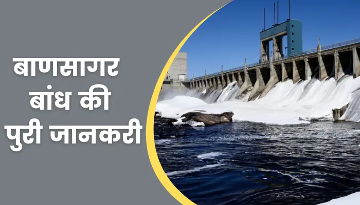 Bansagar Dam Information In Hindi